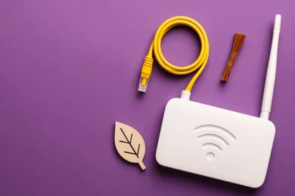 Previous Article Image