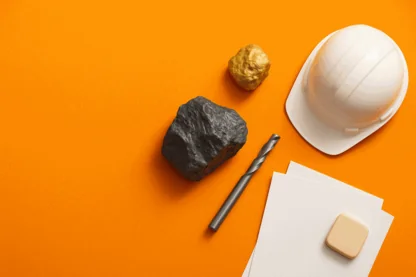 Previous Article Image