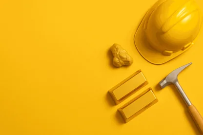 Previous Article Image