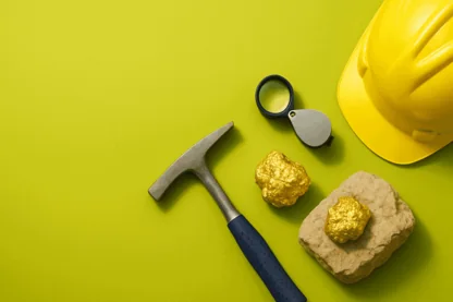 Previous Article Image