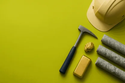 Previous Article Image