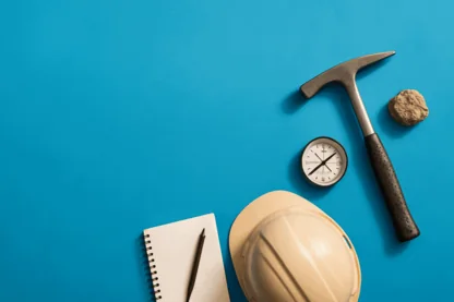 Previous Article Image