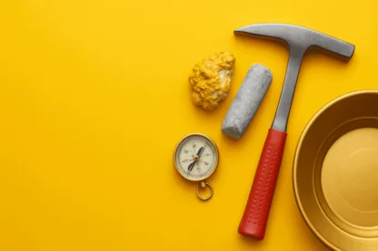 Previous Article Image