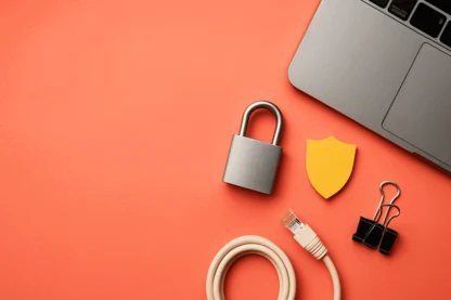 Previous Article Image