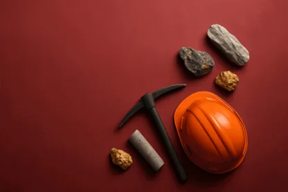 Previous Article Image