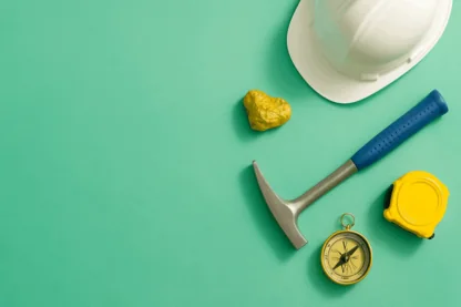 Previous Article Image