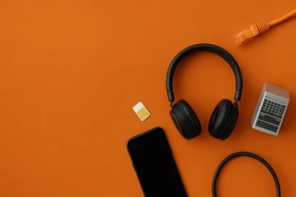 Previous Article Image