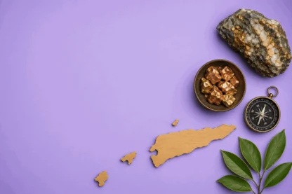 Previous Article Image