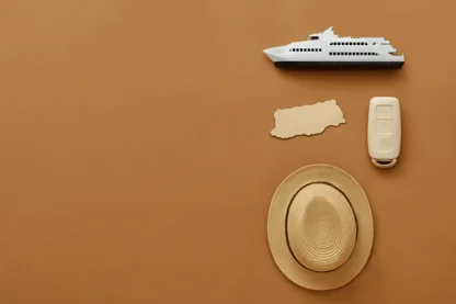 Previous Article Image