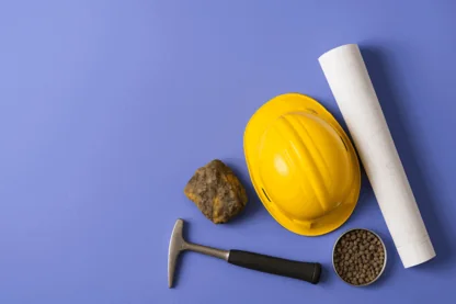 Previous Article Image