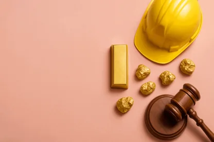 Previous Article Image