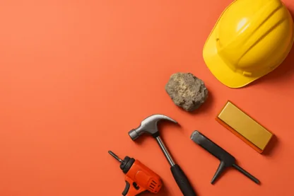 Previous Article Image