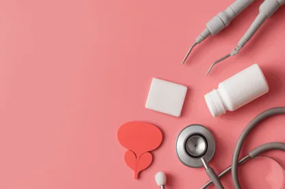 Previous Article Image