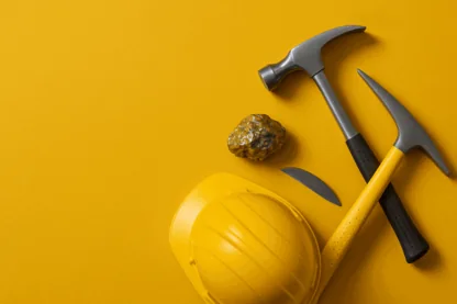 Previous Article Image