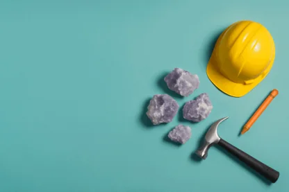 Previous Article Image