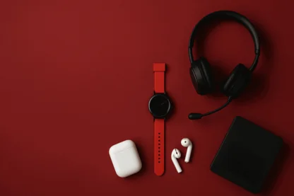 Previous Article Image