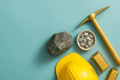 Previous Article Image