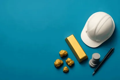 Previous Article Image