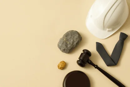 Previous Article Image