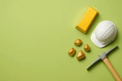 Previous Article Image