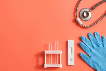 Previous Article Image