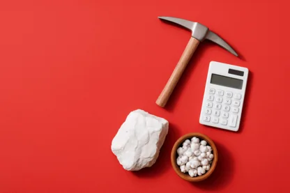 Previous Article Image