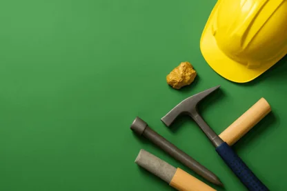 Previous Article Image