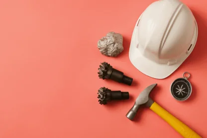 Previous Article Image