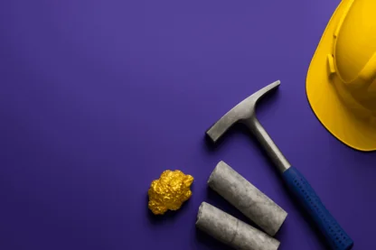 Previous Article Image