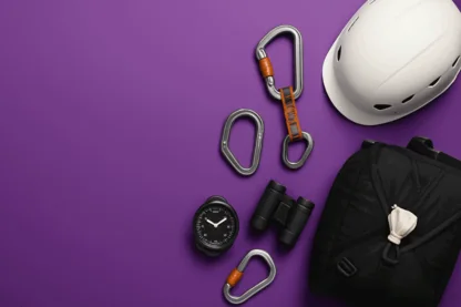 Previous Article Image