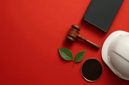 Previous Article Image