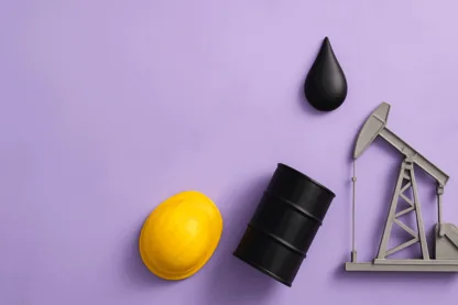 Previous Article Image