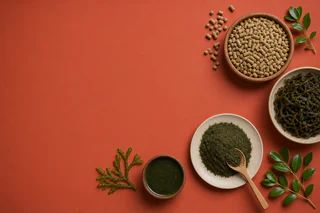 Sea Forest’s SeaFeed Revenue Rockets 486% as Cattle Commitments Exceed Breakeven