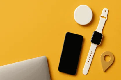 Previous Article Image