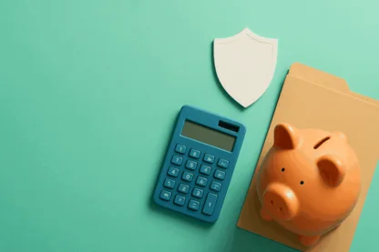 Previous Article Image