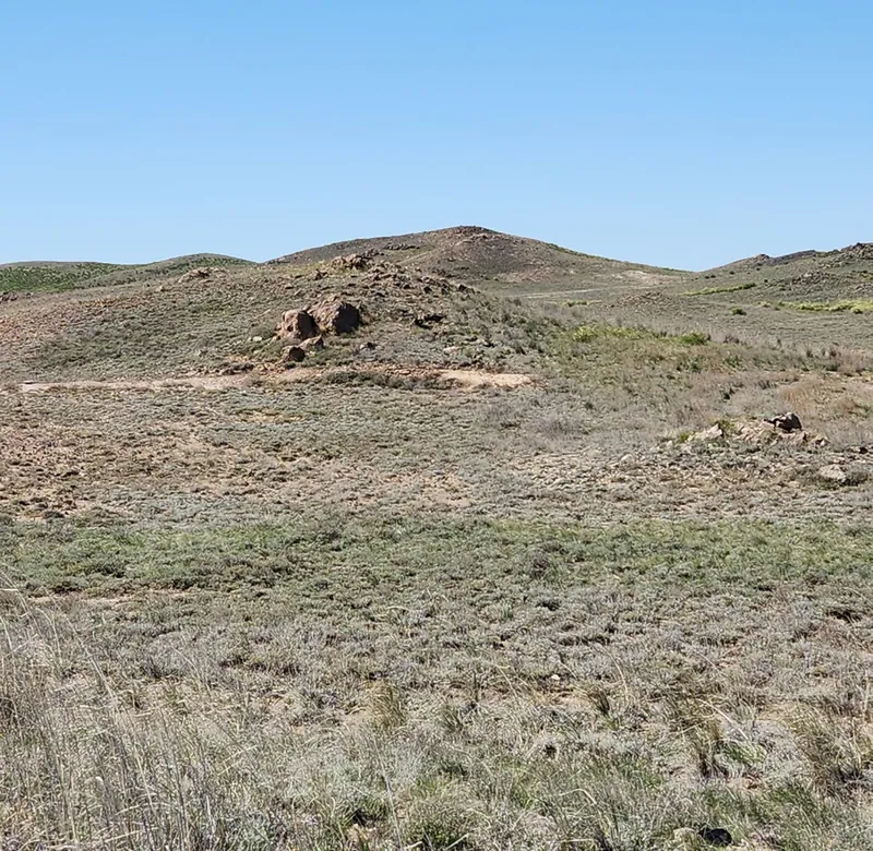 An example of silicified outcrop near old Soviet trenching, with the silicified peak at Karakul Project in the background. The ground in the picture is wholly…