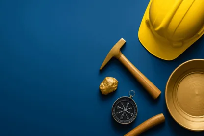 Previous Article Image