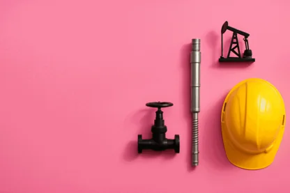 Previous Article Image