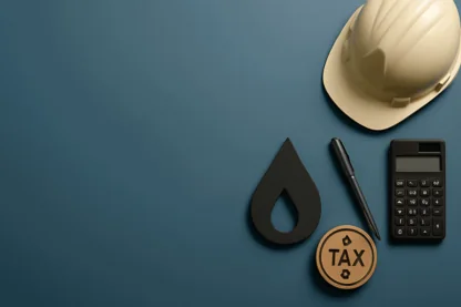 Previous Article Image