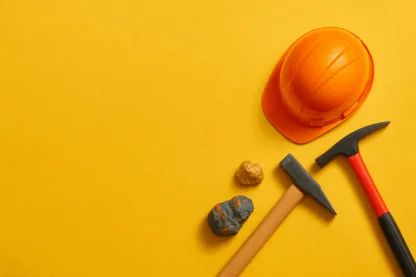 Previous Article Image