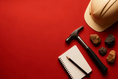 Previous Article Image