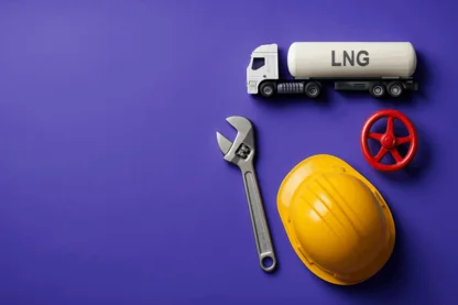 Previous Article Image