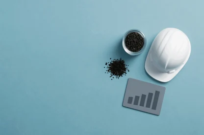 Previous Article Image