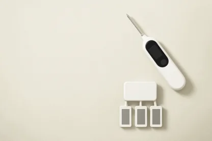 Previous Article Image