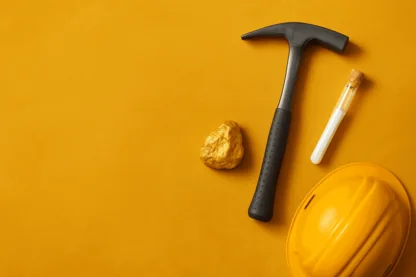 Previous Article Image