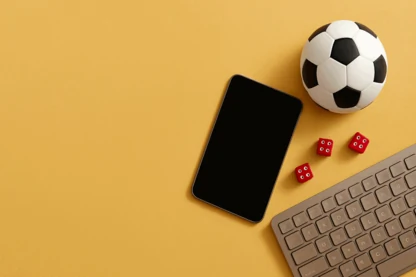 Previous Article Image