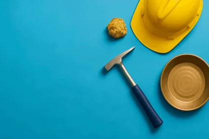 Previous Article Image