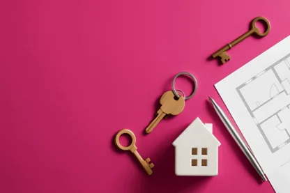 Previous Article Image