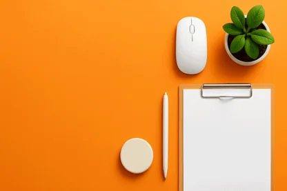 Previous Article Image