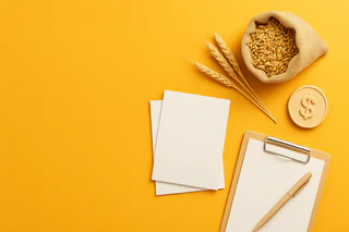 GrainCorp Delivers Resilient FY24 Results and Launches $50M Buy-Back